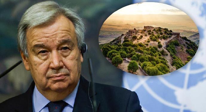 Qolan İsrail yox, Suriya ərazisidir – BMT