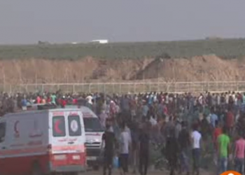 Sionistlərin Qəzzə zolağındakı son cinayətləri – Video