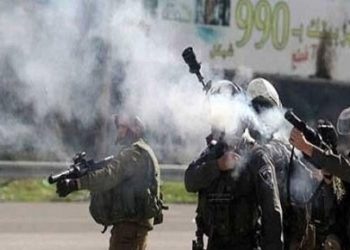 Bu ilin əvvəlindən sionistlər tərəfindən güllələnən 15 fələstinli uşaq şəhid olub