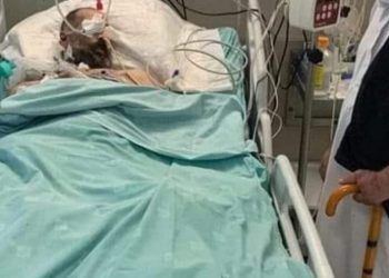 Daha bir fələstinli şəhid: Əbu Məhamid