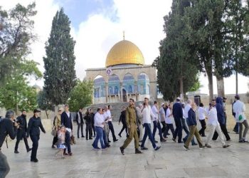 Sionist köçkünlərinin Məscidul-Əqsaya yürüşləri