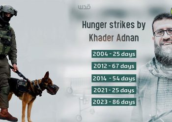 Sadiq Müqavimət övladı! (Video)