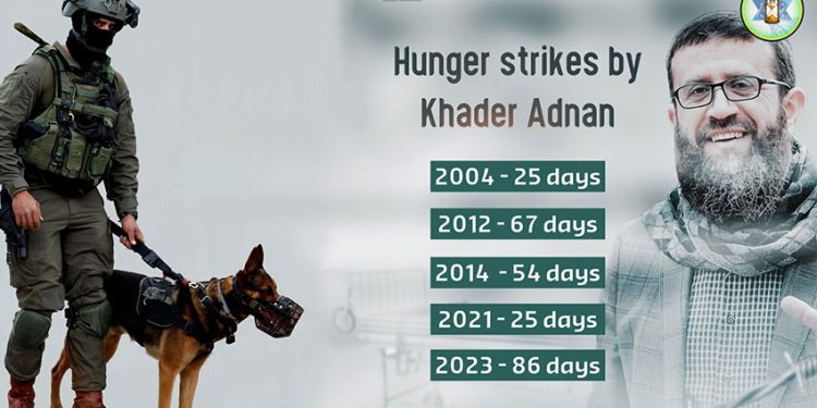 Sadiq Müqavimət övladı! (Video)