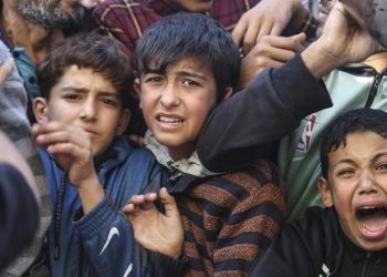 Qəzzə xalqının qida maddələri əldə etməsi ilə bağlı şok edici statistika