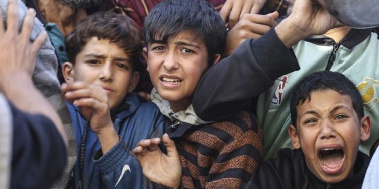 Qəzzə xalqının qida maddələri əldə etməsi ilə bağlı şok edici statistika