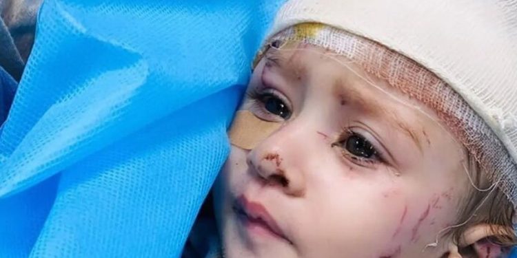 Qəzzə şəhidlərinin sayı 29 606 nəfərə çatıb