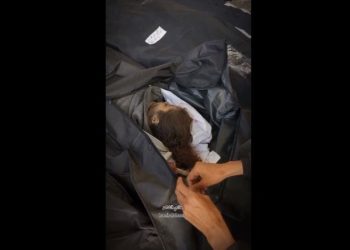 İşğalçıların Rəfəhə hücumunda 8 nəfər şəhid olub