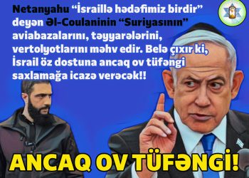 Ancaq ov tüfəngi!