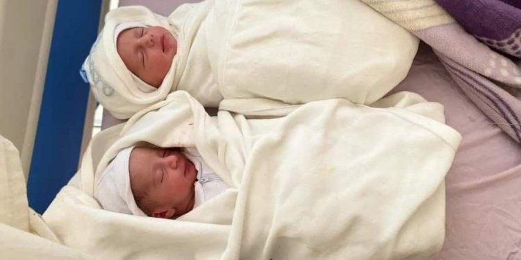 Qəzzədə 800 südəmər körpə şəhid olub