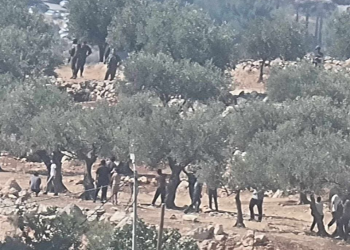 Məskunlaşmış yəhudilər Nablusun şərqindəki Salim kəndinin kənarlarına hücum ediblər.