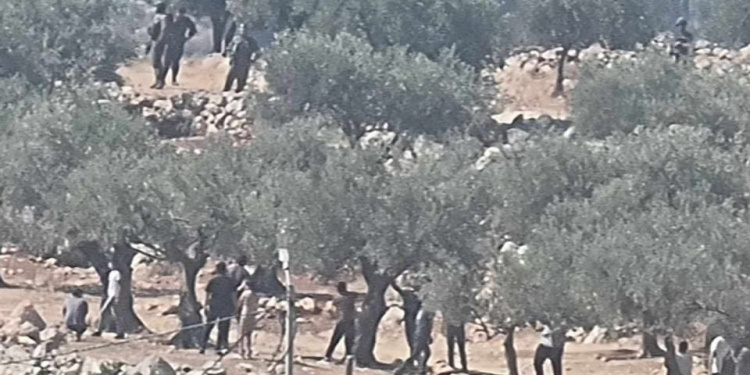 Məskunlaşmış yəhudilər Nablusun şərqindəki Salim kəndinin kənarlarına hücum ediblər.