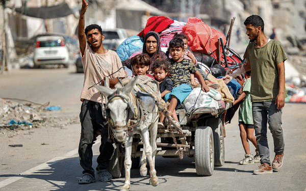 İsrail ordusunun Qəzzədə uzunqulaq oğurluğu