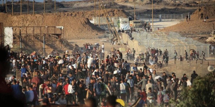 BMT: Qəzzada humanitar yardım məntəqələri yaxınlığında azı 875 fələstinli öldürülüb