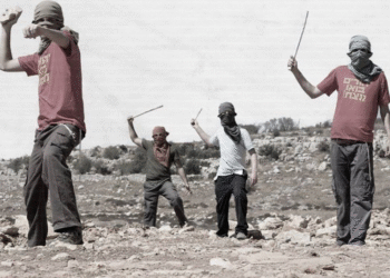 Təpə Gəncləri kimdir və bu qədər vəhşiliyi haradan alırlar?