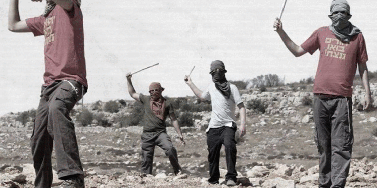 Təpə Gəncləri kimdir və bu qədər vəhşiliyi haradan alırlar?