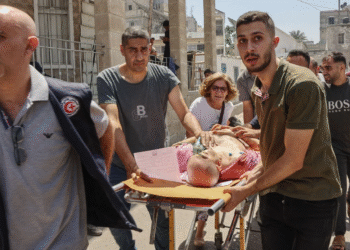 BMT: Qəzzada vəziyyət “təsvirəgəlməz dərəcədə dəhşətlidir”