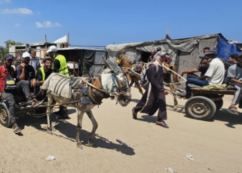 Qəzzada yardım yük maşınının yaxınlığında İsrailin atəşi nəticəsində azı 67 nəfər öldürülüb