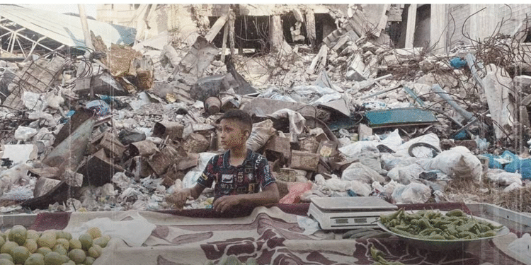 Əncir və üzüm… Gözlər baxır, əllər çatmır