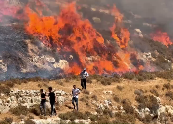Məskunlaşanlar Sincel torpaqlarını yandırdı, ordu qoruması ilə yeni məskunlaşma nöqtələri qurdu