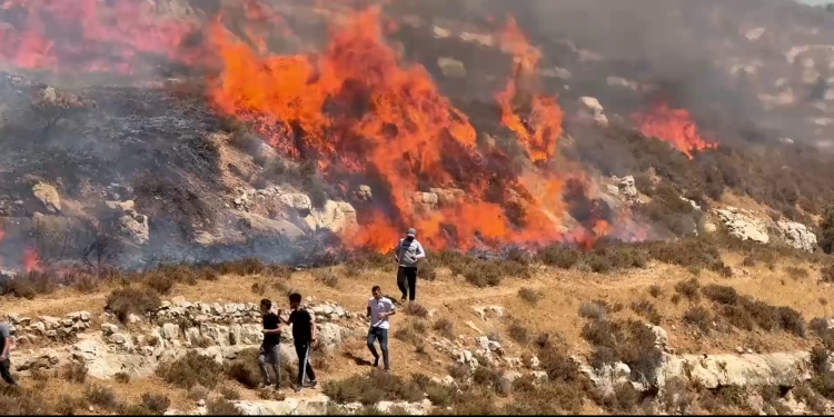 Məskunlaşanlar Sincel torpaqlarını yandırdı, ordu qoruması ilə yeni məskunlaşma nöqtələri qurdu