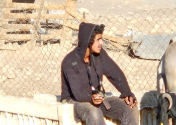 İşğal hücumlarını İordaniya vadisində artırır: evlərin və dükanların dağıdılması və məskunlaşma hücumları